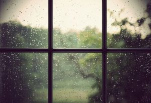 Rainy Day Wednesday