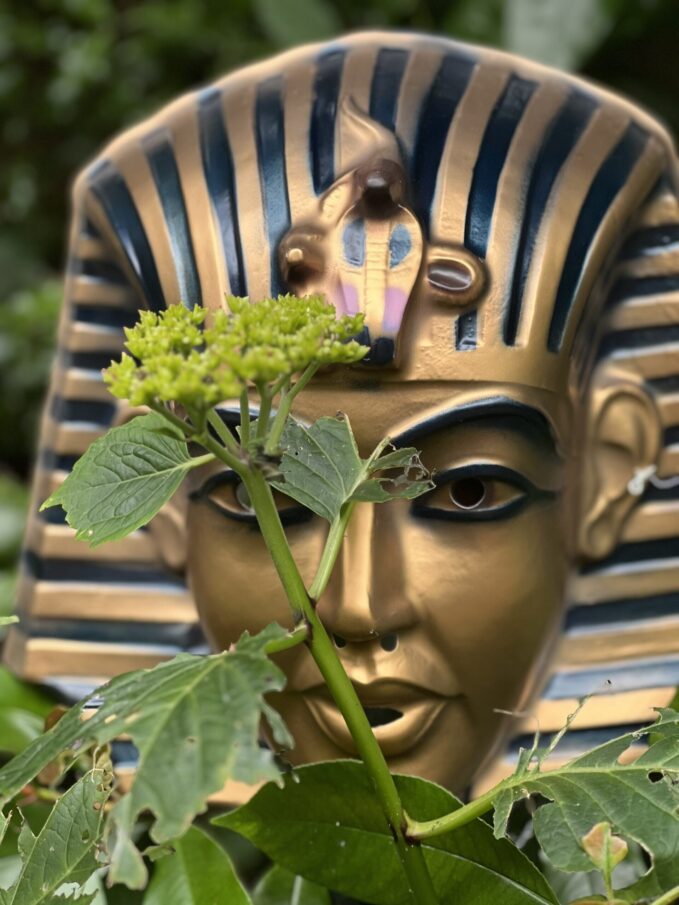 pharaoh mask